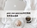 peer.exe-peerexe中打开的文件怎么关闭