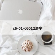 c6-01-c6012济宁