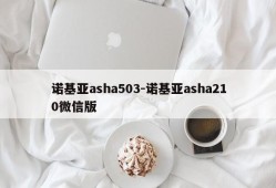诺基亚asha503-诺基亚asha210微信版